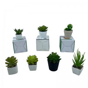 succulent  Potting artificial   Price: $2.3- $2.5. Sales: 8000000 PCS  First order sample free of charge     PZ-DR-002