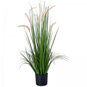 onion grass OG-GWC-008