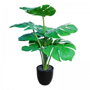 Turtle Back Leaf Pot Planting – PZ-GBY-01