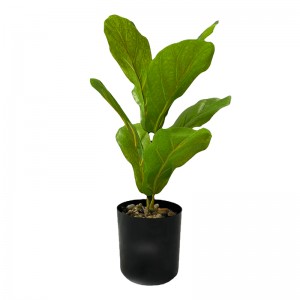 Potted Ficus ，Sales: 108000PCS,PRICE:$0.99–$6.99,PZ-QYR-01