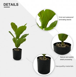 Potted Ficus ，Sales: 108000PCS,PRICE:$0.99–$6.99,PZ-QYR-01