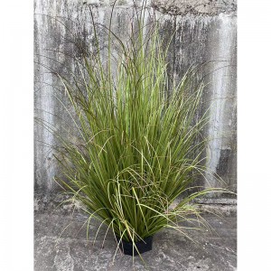 Onion Grass , Price: $2.99- $19.99, Sales: 108000PCS,OG-YCC-088