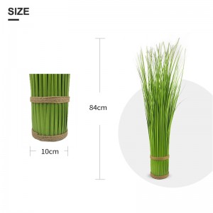 Onion grass tube