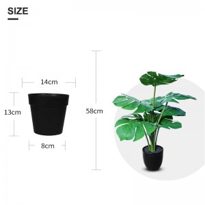 Turtle Back Leaf Pot Planting – PZ-GBY-01