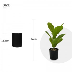 Potted Ficus ，Sales: 108000PCS,PRICE:$0.99–$6.99,PZ-QYR-01