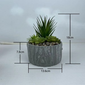 Succulent potted plant  DRPZ-001