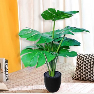 Turtle Back Leaf Pot Planting – PZ-GBY-01