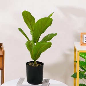 Potted Ficus ，Sales: 108000PCS,PRICE:$0.99–$6.99,PZ-QYR-01