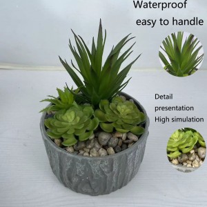 Succulent potted plant  DRPZ-001