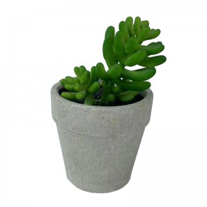 succulent  Potting artificial   Price: $2.3- $2.5. Sales: 8000000 PCS  First order sample free of charge     PZ-DR-002