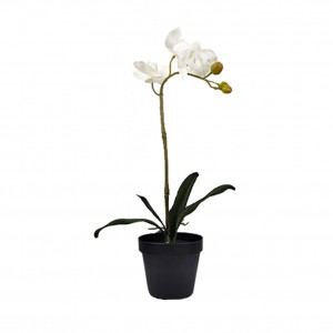 artificial orchids     Price: $1.99- $2.99. First order sample free of charge