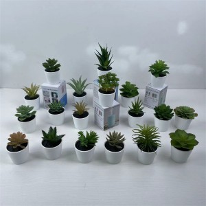 succulent Potting artificial      Price: $0.5- $3.5. MOQ: 2 pieces. Excluding shipping costs   Model: PZ-DR-003