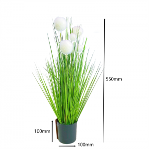 Onion Grass OG-YCC-068,  Price: $2.99- $19.99, Sales: 108000PCS