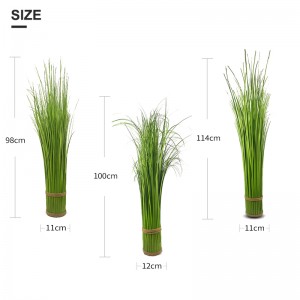 Onion grass tube