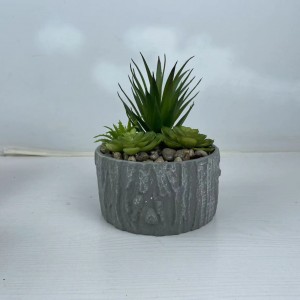 Succulent potted plant  DRPZ-001