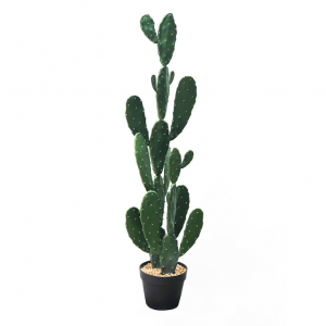 Artificial cactus  AT-XRZ-001  Price: $2.99- $7.99, Sales: 1980000PCS，