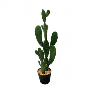 Artificial cactus  AT-XRZ-001  Price: $2.99- $7.99, Sales: 1980000PCS，