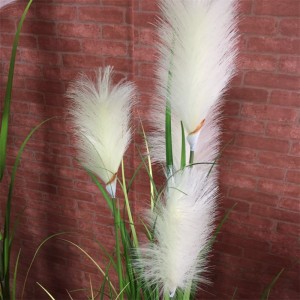 Onion Grass, Price: $2.99- $19.99, Sales: 108000PCS,OG-YCC-076