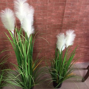 Onion Grass, Price: $2.99- $19.99, Sales: 108000PCS,OG-YCC-076