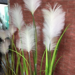 Onion Grass, Price: $2.99- $19.99, Sales: 108000PCS,OG-YCC-076