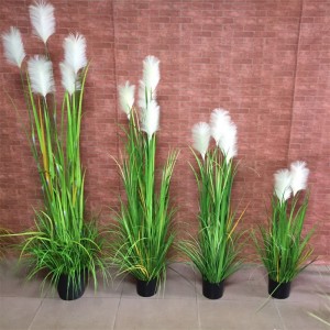 Onion Grass, Price: $2.99- $19.99, Sales: 108000PCS,OG-YCC-076