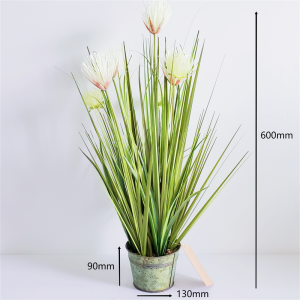 Onion GrassPrice: $2.99- $19.99, Sales: 108000PCS, OG-YCC-074,