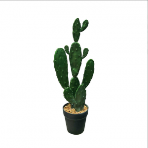 Artificial cactus  AT-XRZ-001  Price: $2.99- $7.99, Sales: 1980000PCS，