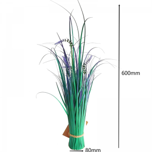 Onion Grass OG-YCC-052