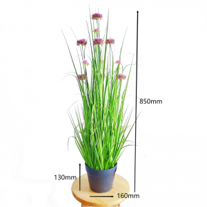 Onion Grass ,Price: $2.99- $19.99, Sales: 108000PCS,OG-YCC-066