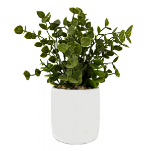 potted plant SF-013