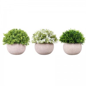 POTTING   PRICE :$1.5—$2.99  ， Sales: 100000 PCS  ，PZ–STC–002