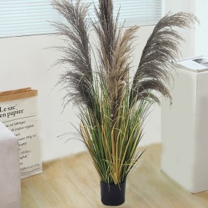 Onion Grass, Price: $2.99- $19.99, Sales: 108000PCS, OG-YCC-077