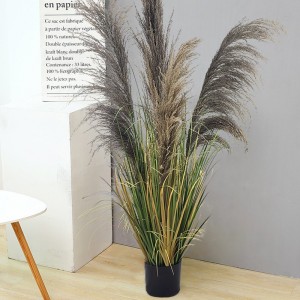 Onion Grass, Price: $2.99- $19.99, Sales: 108000PCS, OG-YCC-077