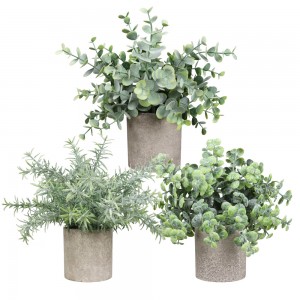 Potted plants are popular     PRICE:$1–$2.99   PZ-WSD—001