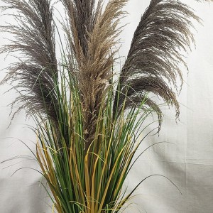 Onion Grass, Price: $2.99- $19.99, Sales: 108000PCS, OG-YCC-077