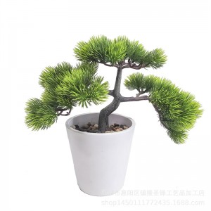 Potting , Price: $2.99- $7.99, Sales: 108000PCS,PZ-GY-021