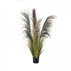 Onion Grass, Price: $2.99- $19.99, Sales: 108000PCS, OG-YCC-077