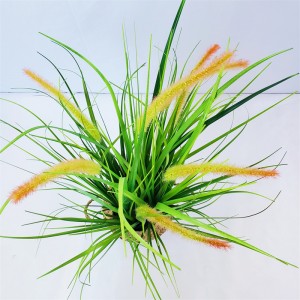 onion grass OG-YCC-010