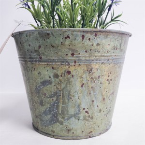 Potting PZ-GY-012