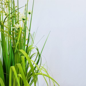 Onion Grass OG-YCC-011