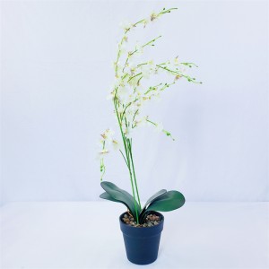 Orchid flower  PZ-008   Price: $1.99- $2.99. First order sample free of charge