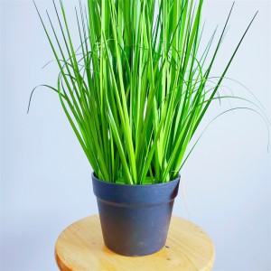 Onion Grass ,Price: $2.99- $19.99, Sales: 108000PCS,OG-YCC-066