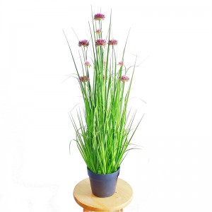 Onion Grass ,Price: $2.99- $19.99, Sales: 108000PCS,OG-YCC-066