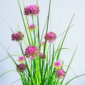 Onion Grass ,Price: $2.99- $19.99, Sales: 108000PCS,OG-YCC-066