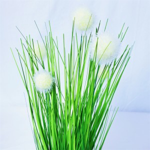 Onion Grass OG-YCC-014