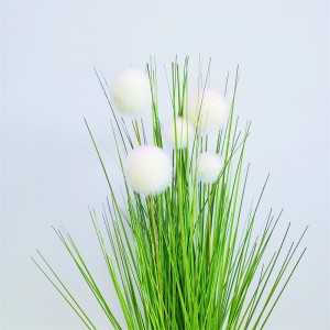 Onion Grass, Price: $2.99- $19.99, Sales: 108000PCS, OG-YCC-068,