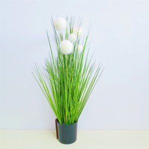 Onion Grass, Price: $2.99- $19.99, Sales: 108000PCS, OG-YCC-068,