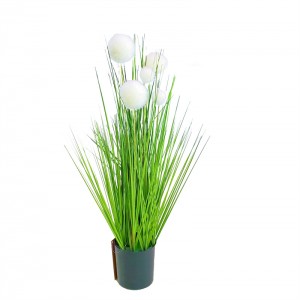 Onion Grass, Price: $2.99- $19.99, Sales: 108000PCS, OG-YCC-068,