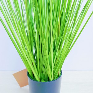 Onion Grass, Price: $2.99- $19.99, Sales: 108000PCS, OG-YCC-068,