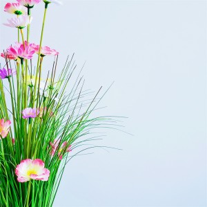 Onion Grass ,Price: $2.99- $19.99, Sales: 108000PCS,OG-YCC-069